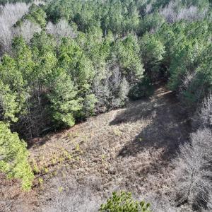 Photo #61 of SOLD property in 657 Collins Mill Rd, Castalia, NC 104.8 acres