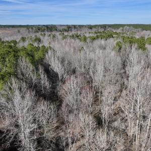 Photo #62 of SOLD property in 657 Collins Mill Rd, Castalia, NC 104.8 acres
