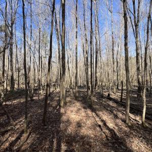 Photo #64 of SOLD property in 657 Collins Mill Rd, Castalia, NC 104.8 acres