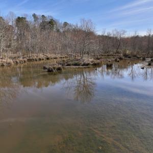 Photo #67 of SOLD property in 657 Collins Mill Rd, Castalia, NC 104.8 acres