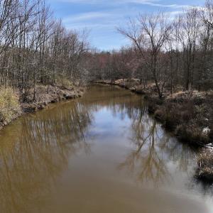 Photo #68 of SOLD property in 657 Collins Mill Rd, Castalia, NC 104.8 acres