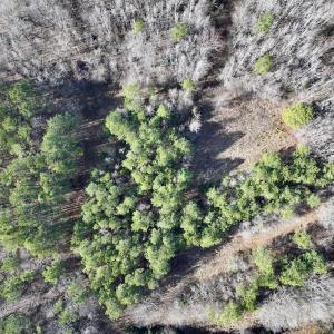 Photo #69 of SOLD property in 657 Collins Mill Rd, Castalia, NC 104.8 acres