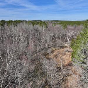 Photo #72 of SOLD property in 657 Collins Mill Rd, Castalia, NC 104.8 acres
