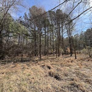 Photo #74 of SOLD property in 657 Collins Mill Rd, Castalia, NC 104.8 acres