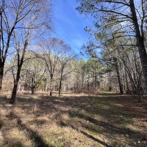 Photo #75 of SOLD property in 657 Collins Mill Rd, Castalia, NC 104.8 acres