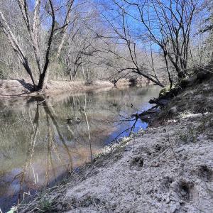 Photo #77 of SOLD property in 657 Collins Mill Rd, Castalia, NC 104.8 acres