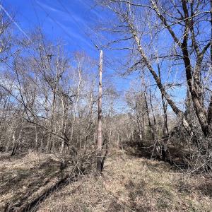 Photo #78 of SOLD property in 657 Collins Mill Rd, Castalia, NC 104.8 acres