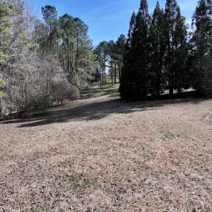 Photo #80 of SOLD property in 657 Collins Mill Rd, Castalia, NC 104.8 acres