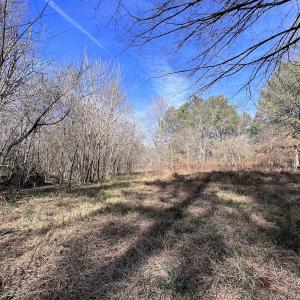 Photo #83 of SOLD property in 657 Collins Mill Rd, Castalia, NC 104.8 acres