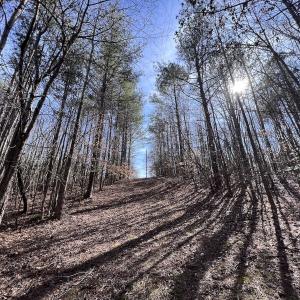 Photo #84 of SOLD property in 657 Collins Mill Rd, Castalia, NC 104.8 acres