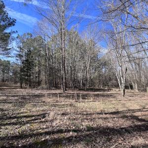 Photo #85 of SOLD property in 657 Collins Mill Rd, Castalia, NC 104.8 acres