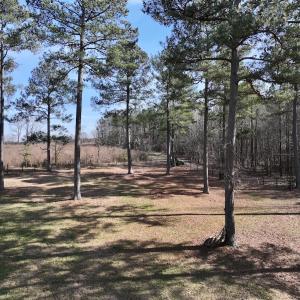 Photo #87 of SOLD property in 657 Collins Mill Rd, Castalia, NC 104.8 acres