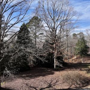 Photo #91 of SOLD property in 657 Collins Mill Rd, Castalia, NC 104.8 acres