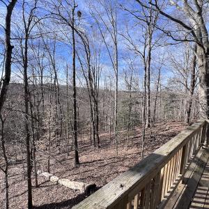 Photo #93 of SOLD property in 657 Collins Mill Rd, Castalia, NC 104.8 acres