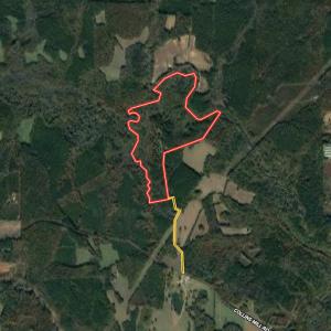 Photo #96 of SOLD property in 657 Collins Mill Rd, Castalia, NC 104.8 acres
