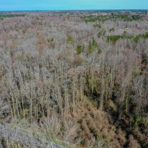Photo #12 of SOLD property in 4068 Midway Road, Maxton, NC 115.3 acres