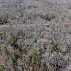 Photo #14 of SOLD property in 4068 Midway Road, Maxton, NC 115.3 acres