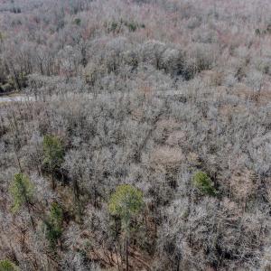 Photo #14 of 4068 Midway Road, Maxton, NC 115.3 acres