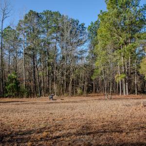 Photo #15 of 4068 Midway Road, Maxton, NC 115.3 acres