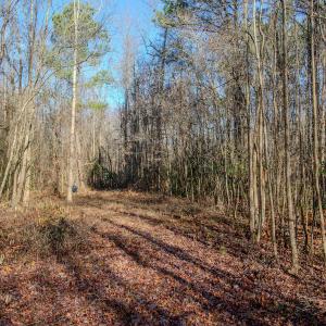 Photo #19 of SOLD property in 4068 Midway Road, Maxton, NC 115.3 acres