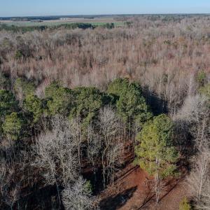 Photo #3 of 4068 Midway Road, Maxton, NC 115.3 acres