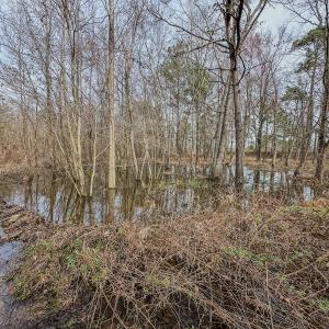 Photo #28 of SOLD property in 4068 Midway Road, Maxton, NC 115.3 acres