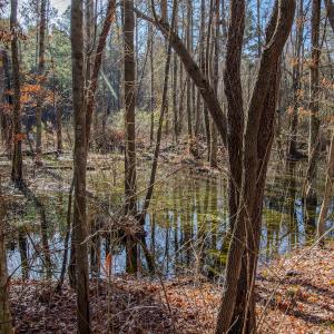 Photo #29 of 4068 Midway Road, Maxton, NC 115.3 acres