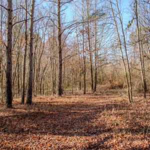 Photo #30 of 4068 Midway Road, Maxton, NC 115.3 acres