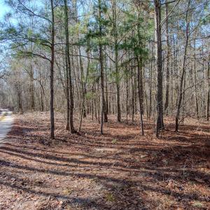 Photo #36 of SOLD property in 4068 Midway Road, Maxton, NC 115.3 acres