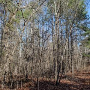 Photo #37 of 4068 Midway Road, Maxton, NC 115.3 acres