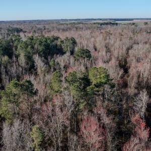 Photo #6 of SOLD property in 4068 Midway Road, Maxton, NC 115.3 acres