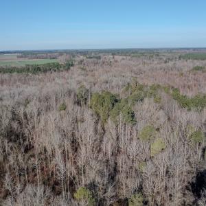 Photo #7 of SOLD property in 4068 Midway Road, Maxton, NC 115.3 acres