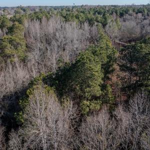Photo #9 of SOLD property in 4068 Midway Road, Maxton, NC 115.3 acres
