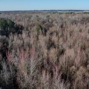 Photo #10 of SOLD property in 4068 Midway Road, Maxton, NC 115.3 acres