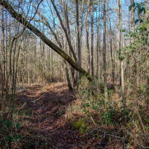 Photo #41 of SOLD property in 4068 Midway Road, Maxton, NC 115.3 acres