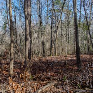 Photo #42 of 4068 Midway Road, Maxton, NC 115.3 acres