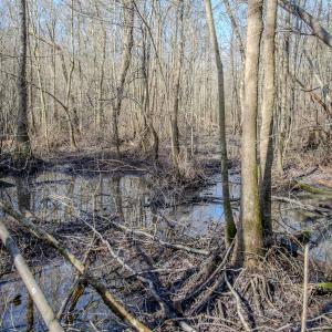 Photo #44 of SOLD property in 4068 Midway Road, Maxton, NC 115.3 acres
