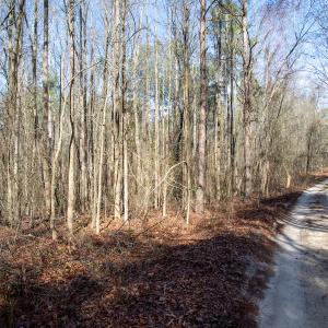 Photo #54 of SOLD property in 4068 Midway Road, Maxton, NC 115.3 acres