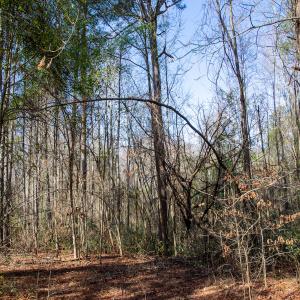 Photo #56 of SOLD property in 4068 Midway Road, Maxton, NC 115.3 acres