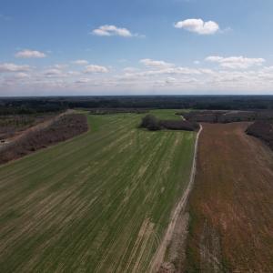 Photo #11 of SOLD property in 1543 McGoogan Farm Road, Shannon, NC 194.9 acres