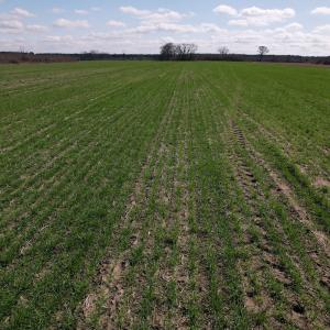 Photo #12 of SOLD property in 1543 McGoogan Farm Road, Shannon, NC 194.9 acres