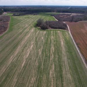 Photo #13 of SOLD property in 1543 McGoogan Farm Road, Shannon, NC 194.9 acres