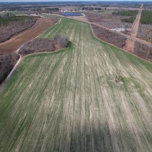 Photo #15 of SOLD property in 1543 McGoogan Farm Road, Shannon, NC 194.9 acres