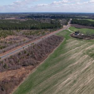 Photo #18 of SOLD property in 1543 McGoogan Farm Road, Shannon, NC 194.9 acres