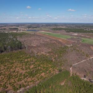 Photo #3 of SOLD property in 1543 McGoogan Farm Road, Shannon, NC 194.9 acres
