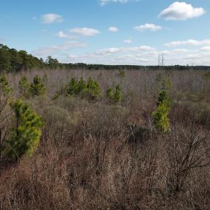 Photo #23 of SOLD property in 1543 McGoogan Farm Road, Shannon, NC 194.9 acres