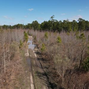 Photo #24 of SOLD property in 1543 McGoogan Farm Road, Shannon, NC 194.9 acres