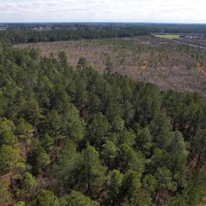 Photo #25 of SOLD property in 1543 McGoogan Farm Road, Shannon, NC 194.9 acres