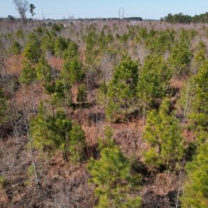 Photo #26 of SOLD property in 1543 McGoogan Farm Road, Shannon, NC 194.9 acres
