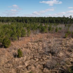 Photo #27 of SOLD property in 1543 McGoogan Farm Road, Shannon, NC 194.9 acres